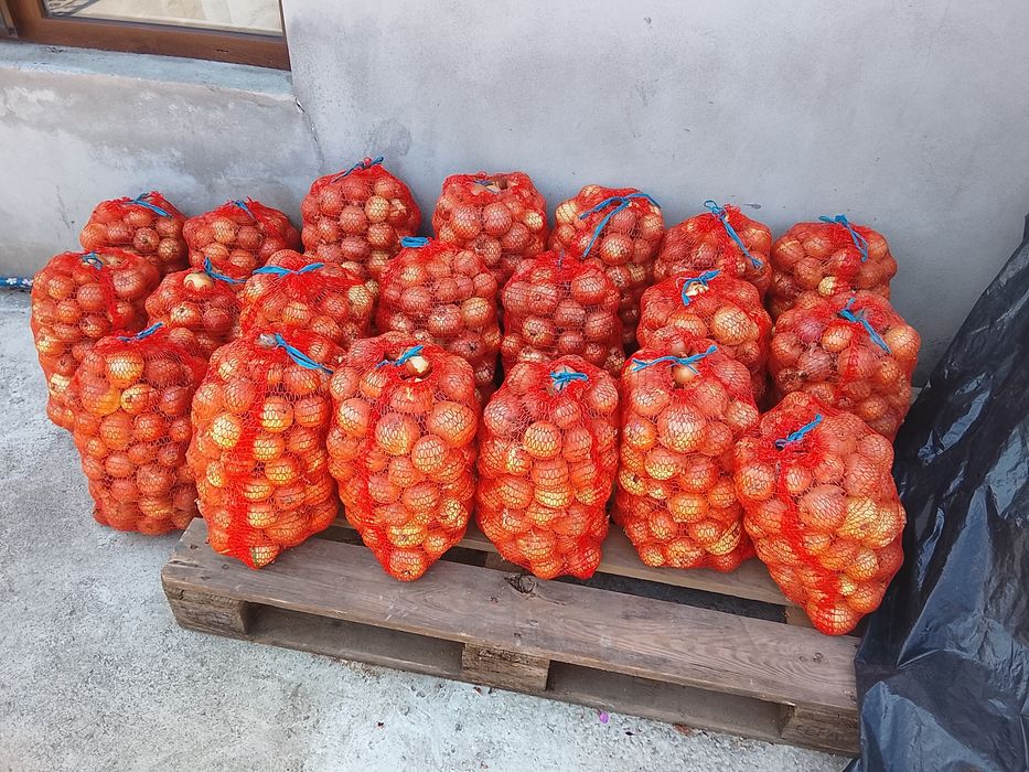 Ceapa de vanzare la plasa de 10 kg