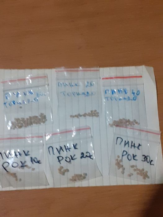 Семена домати Пинк Рок Ръгби,Розамакс,Розалукс