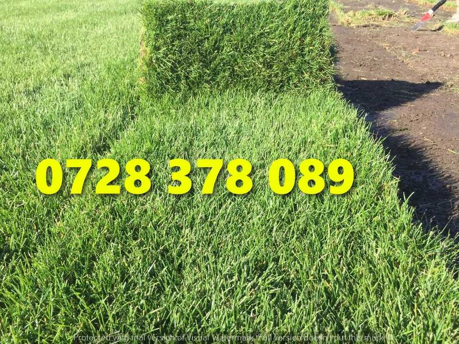 Gazon rulou Sistem de Irigare Oriunde in tara Calitate Extra