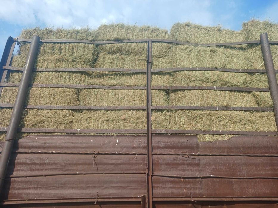 Продам сено в тюках
