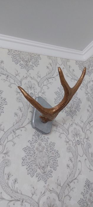Продам оленя рога две штуки
