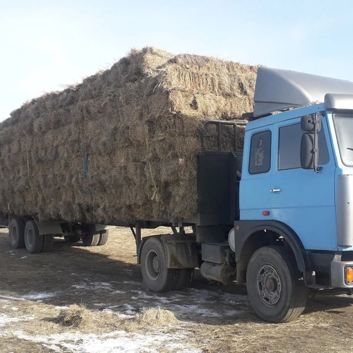 Услуги длинномер грузоперевозка