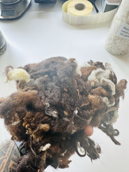 Lână Merinos 24–26 Microni – Albă și Mix Natural | Pentru Fire, Tricotat, Pilote și Produse Premium
