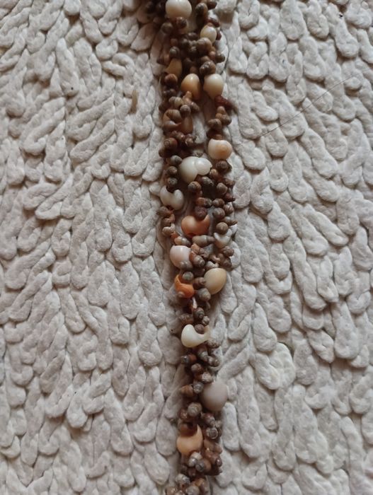 Уникални старинни колиета