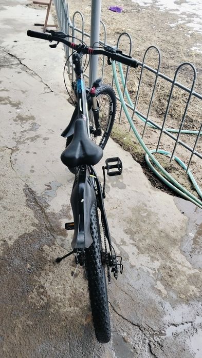 ВЕЛИК сатылады нормальный велик