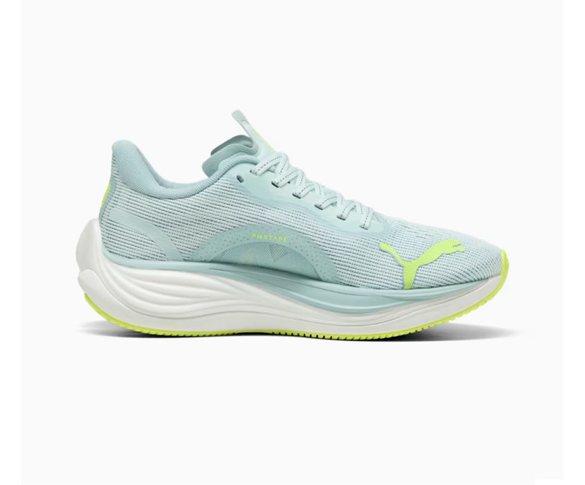 Puma murskoy jenskiy bor