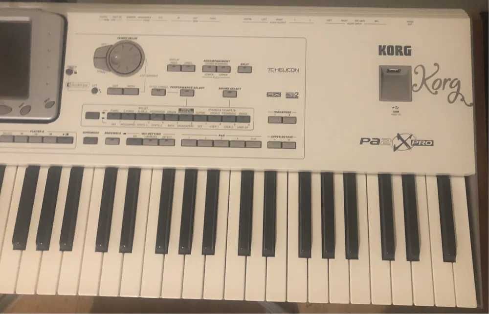 Korg PA2X 256 Mb