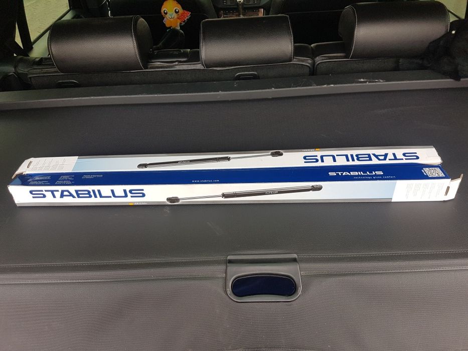 Амортисьори за багажник на BMW X5 E53