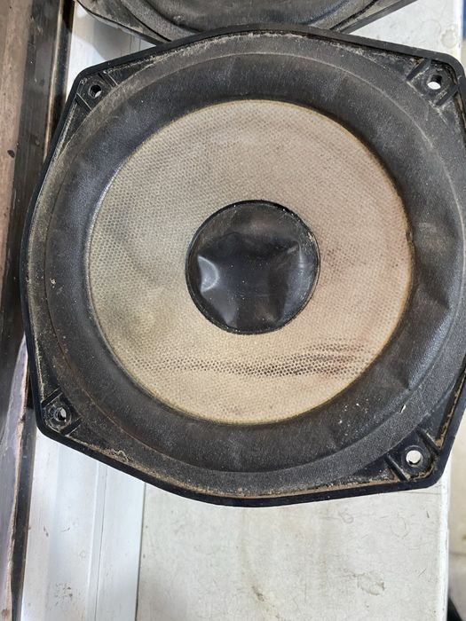 Продам могнинолы и колонки