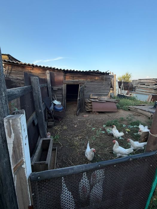 Продам дом в свинсовхозе