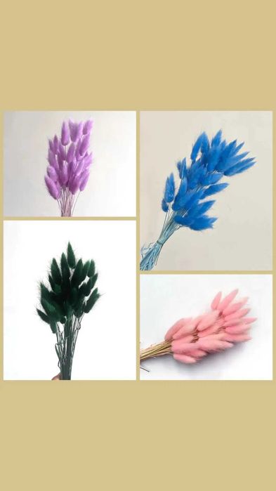 Сухоцветы, лагрус, пшеница, лаванда