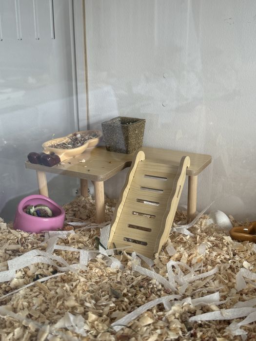 Аквариум для грызунов / терратирум