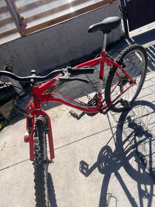 Bicicleta adulti