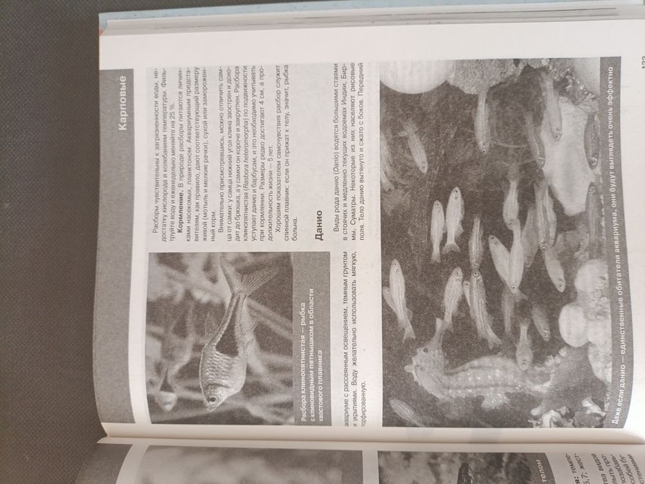 Книги все про аквариум