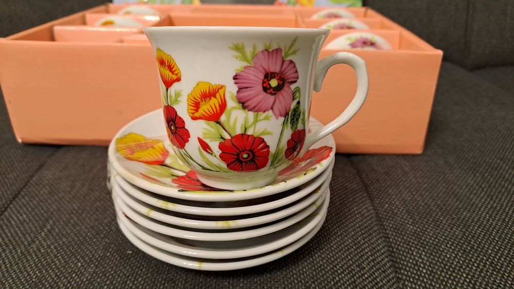 Set 6 cesti + farfurii