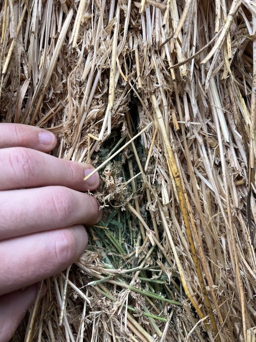 Vând Baloți Rotunzi de Lucernă, Calitate bună