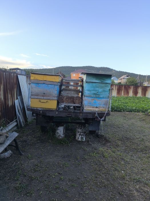 Прицеп пчеловодческий