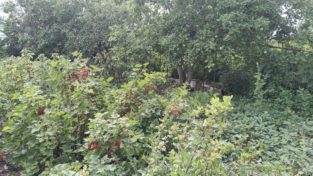 Продам дачу 16соток, город Алга 22 коллектив