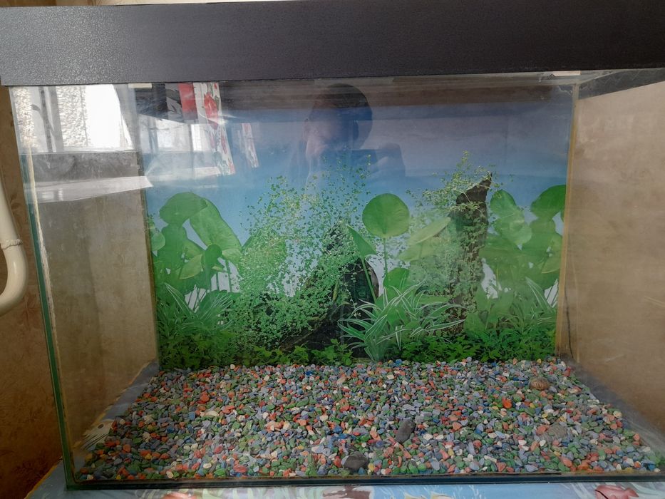 Аквариум с грунтом и светильником