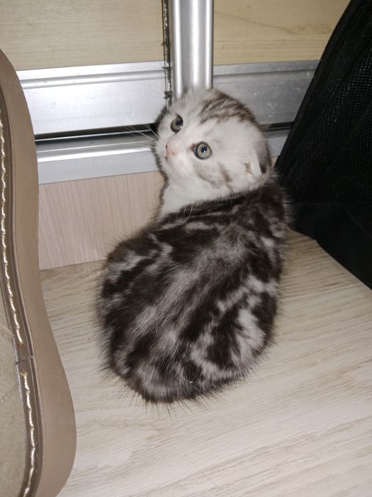 Мальчик 100 долларов