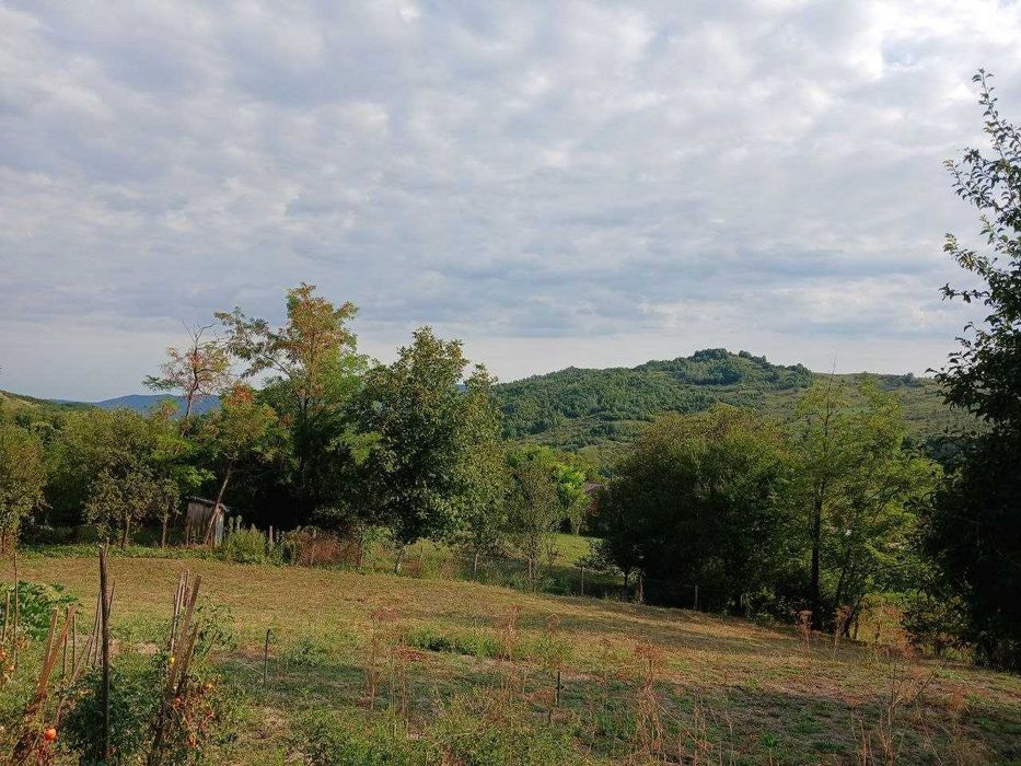 Proprietate autentică situată în sat Trestia, jud. Buzău
