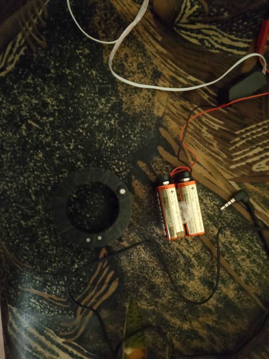 Бръмбар със слушалки