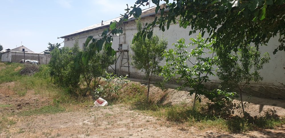 Uy sotiladi 2 xujalik XATIRCHI TUMANIDA