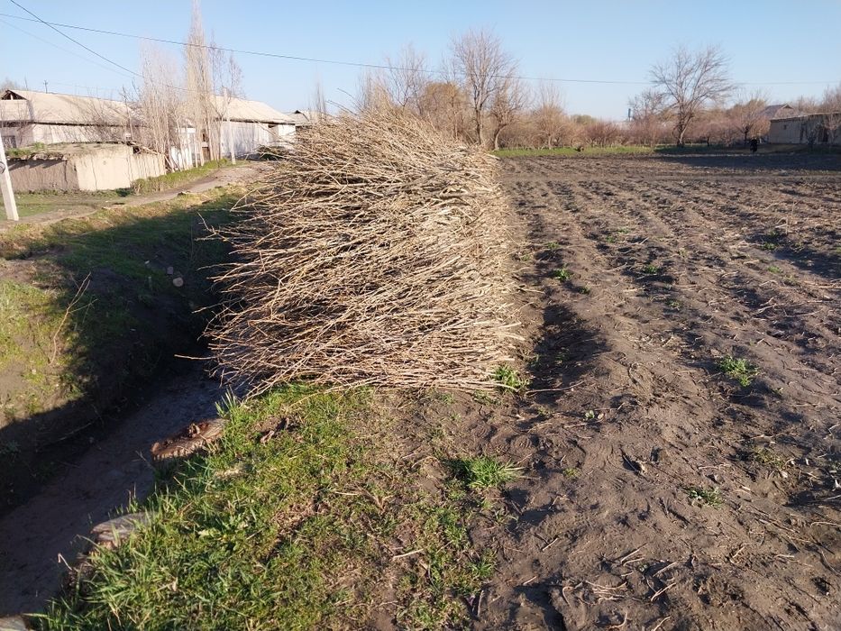 2 машина чикадиган утин бор