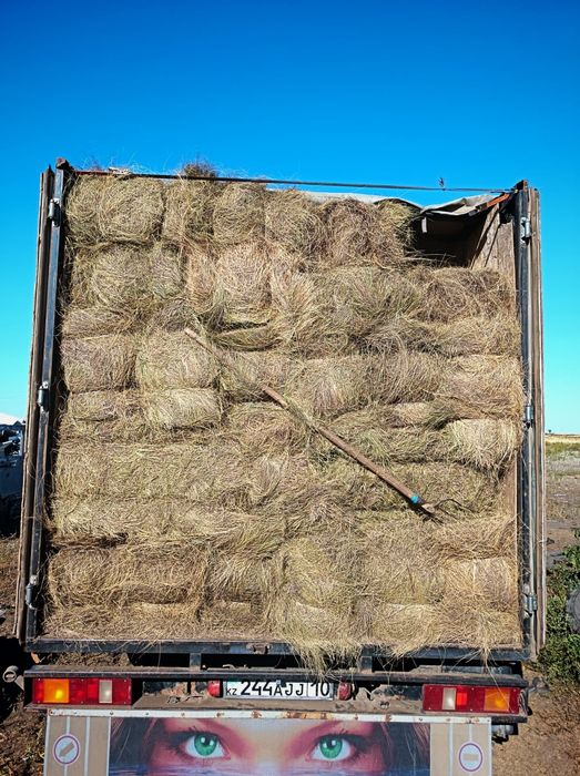 Продам сено в тюках. Доставка.
