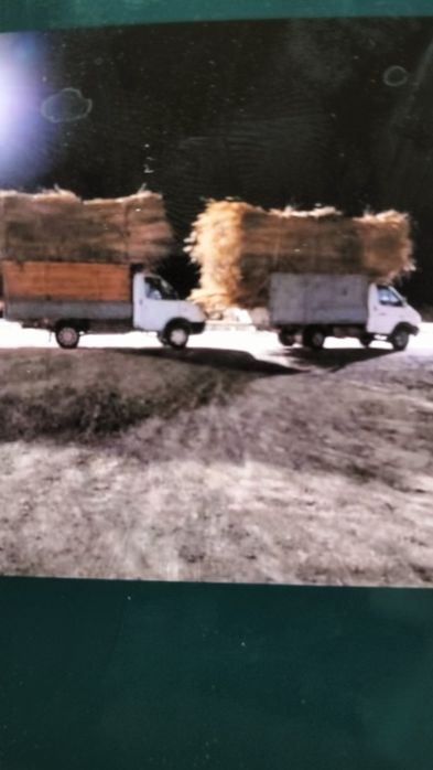 Камыс сатылады ы