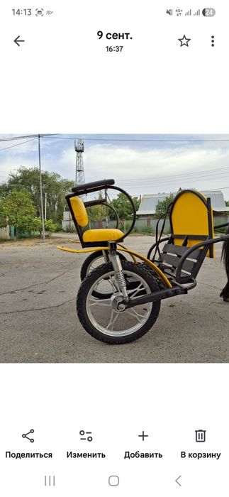 Продается пони с двуколкой