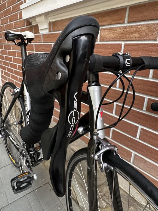 Cursiera Pinarello Prince