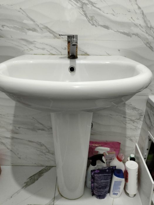 Тюльпан раковина