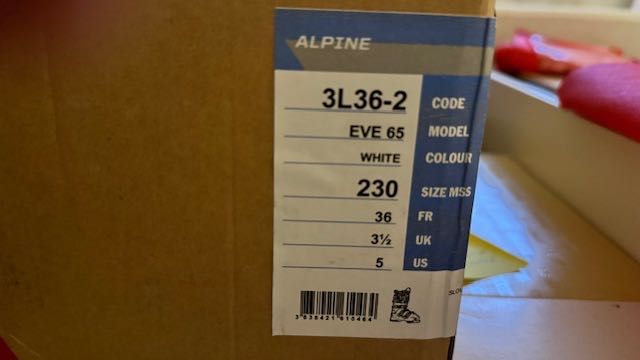 Горнолыжные ботинки