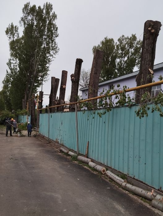 Фронтальные работы, спил деревьев,