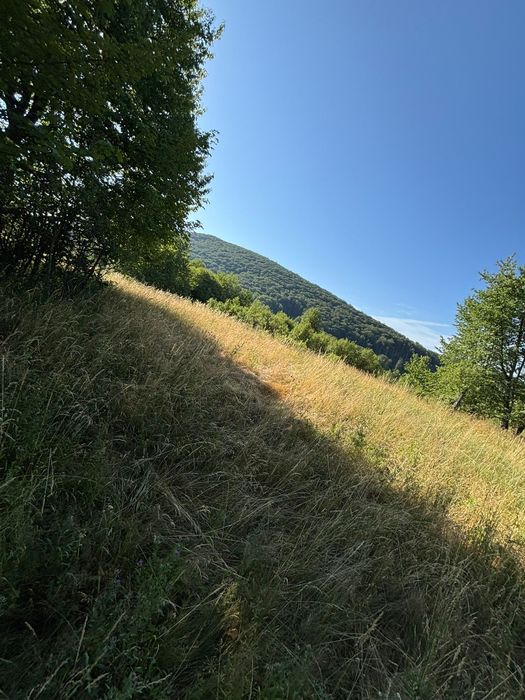 Vînd teren la Damiș