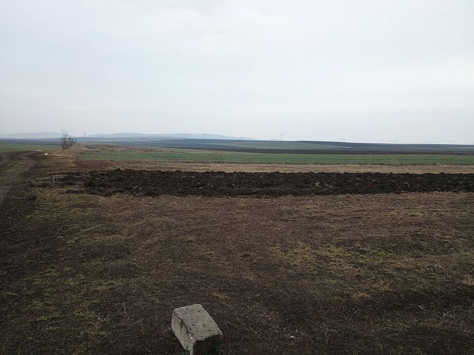 Vând Teren Extravilan