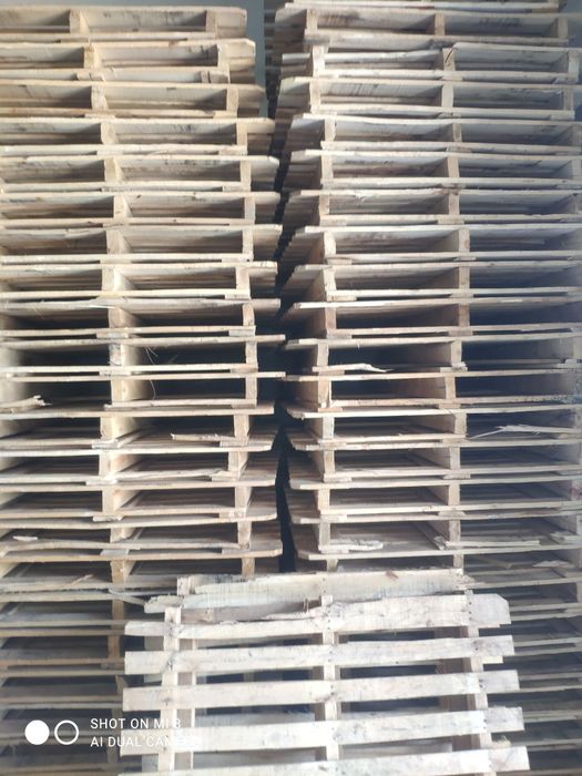 100x120 Paddon taxta 40.000 ming sõm dan