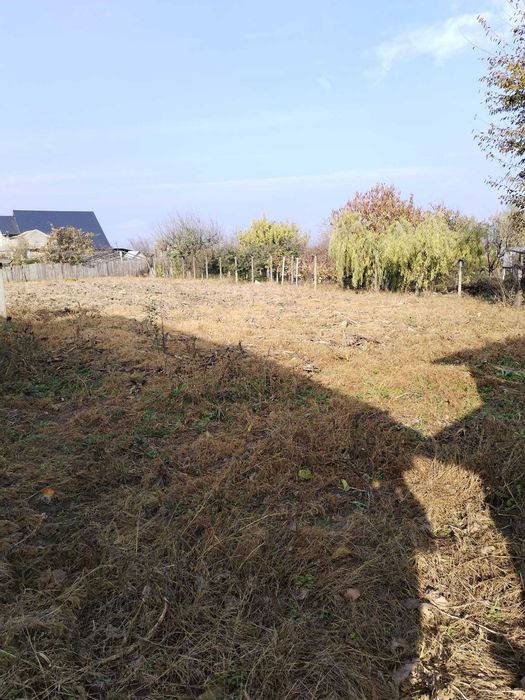 Casă in localitatea  Jijila