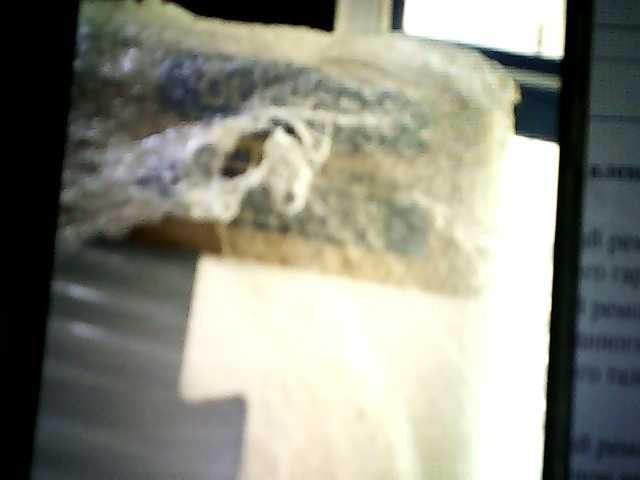 холодильник брюса ном лота 919122