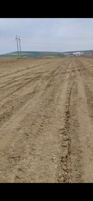 Teren extravilan parc industrial Miroslava 2,5 hectare în loturi