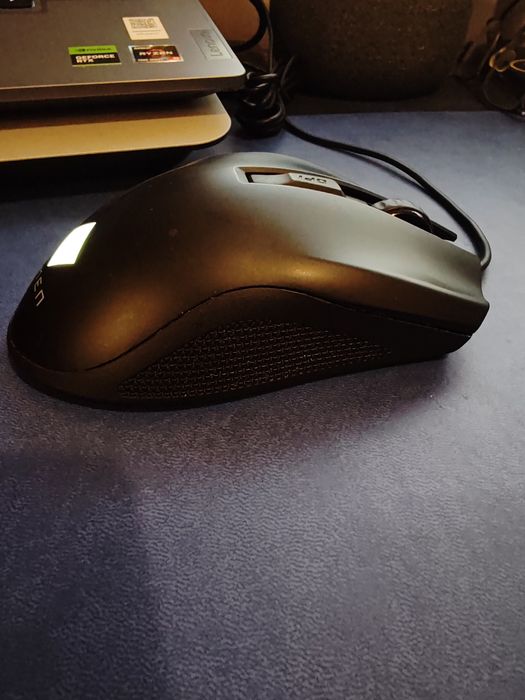 Mouse Omen Vector Essential