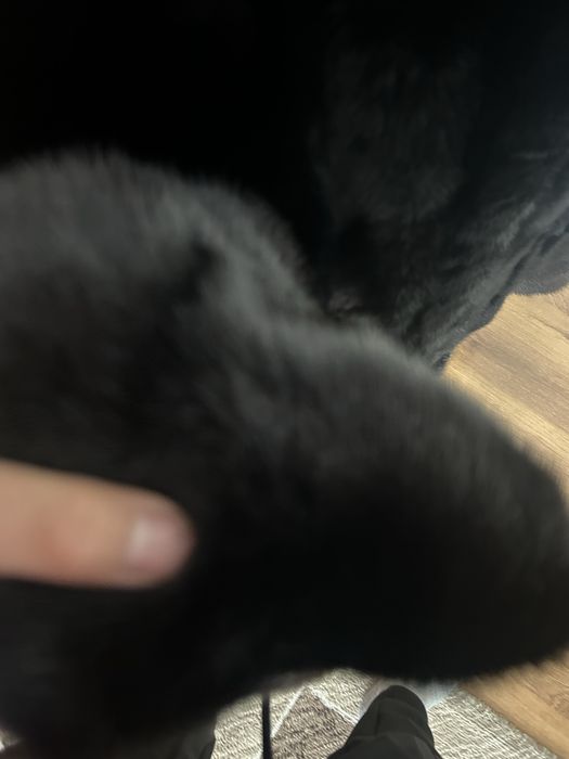 Шуба,натуральный