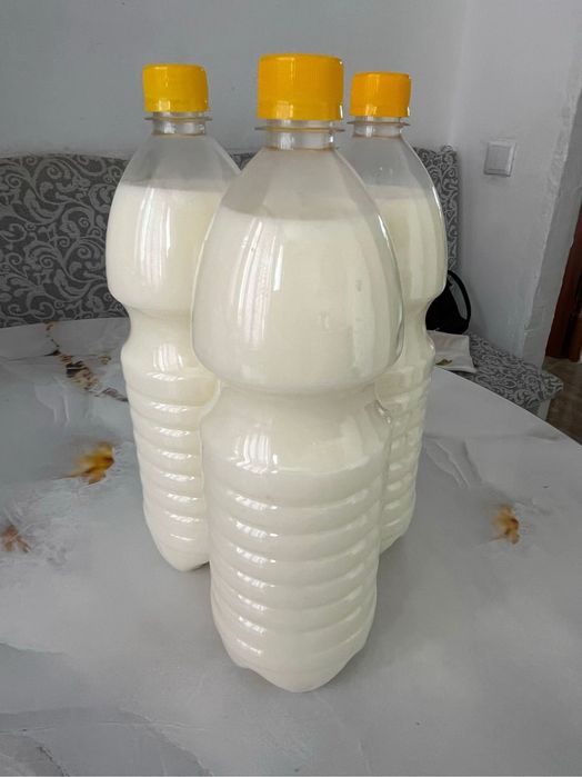 Қымыз сатамын өте дамді таза