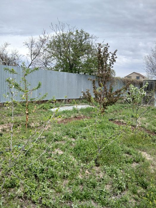 Таскаладан  времянка сатылады  24 кв.м.