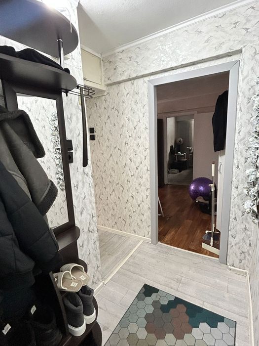 Зх комнатная Михаэлиса