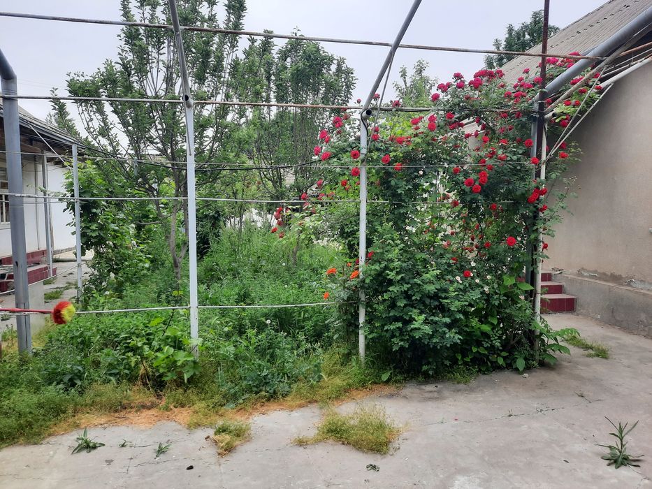 1-мавзеда 14 сотих 10 хонали ховли уй сотилади