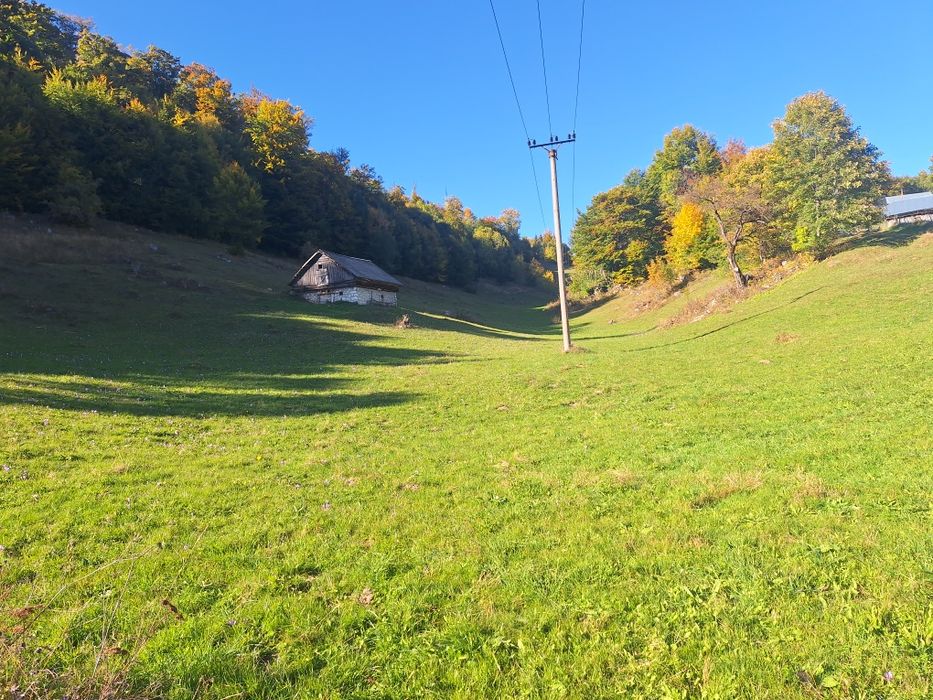 Teren intravilan