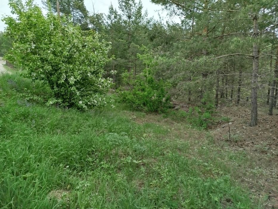 Участок в Голубом заливе. Бухтарма