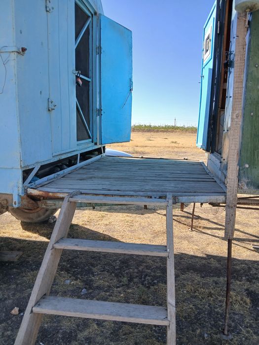 Продается пасека готовый бизнес